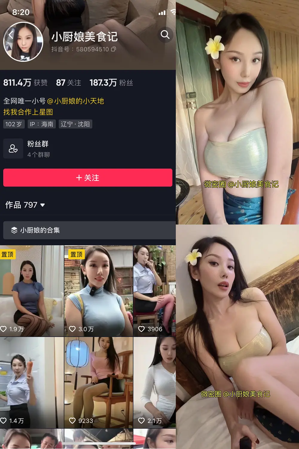 小厨娘美食记微密圈