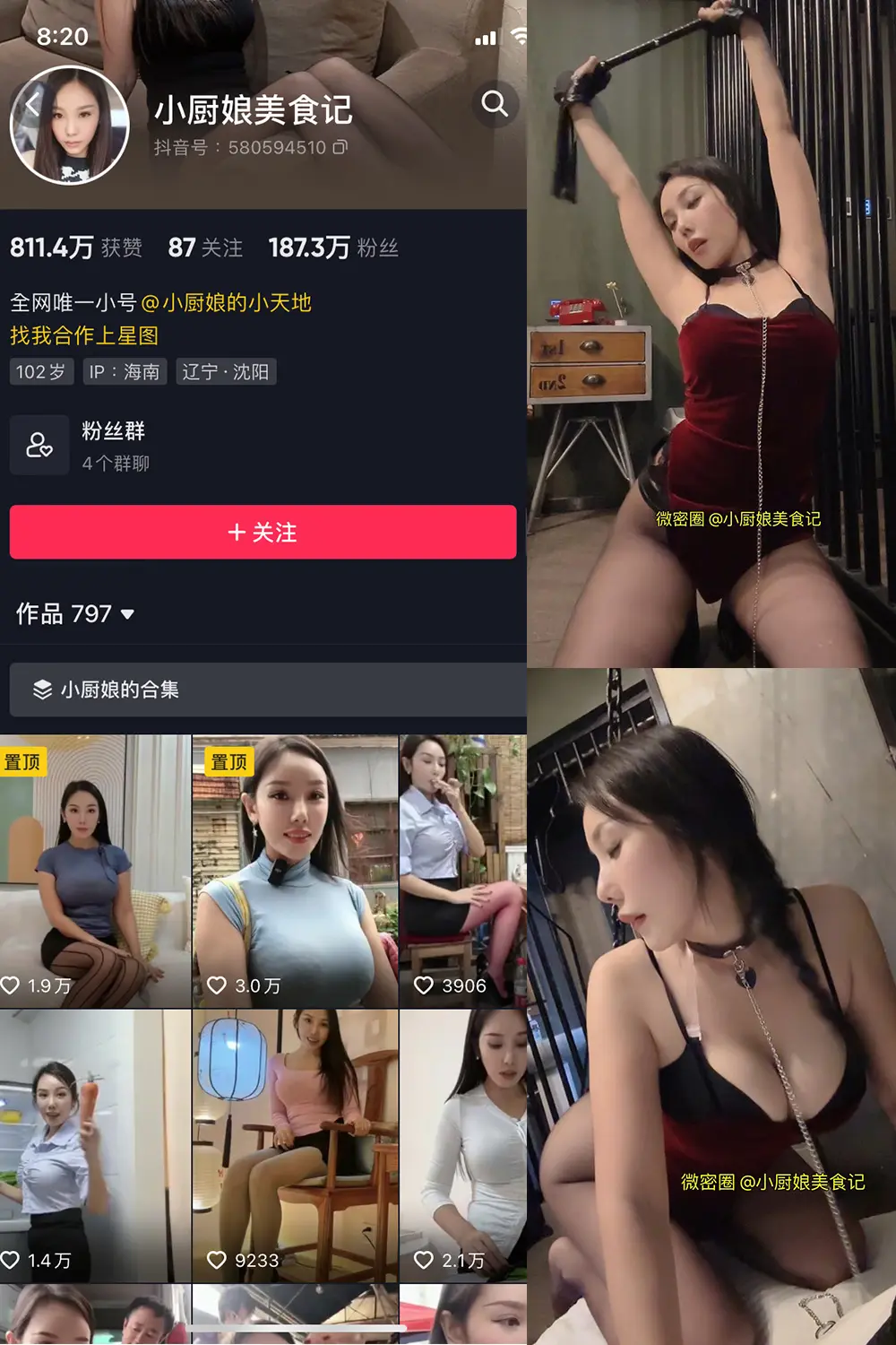 小厨娘美食记微密圈