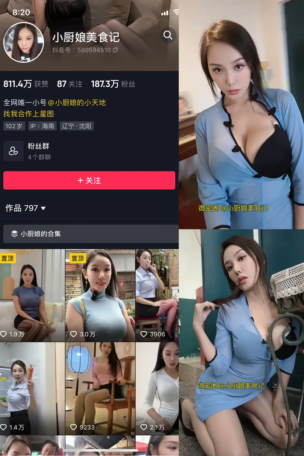 小厨娘美食记微密圈