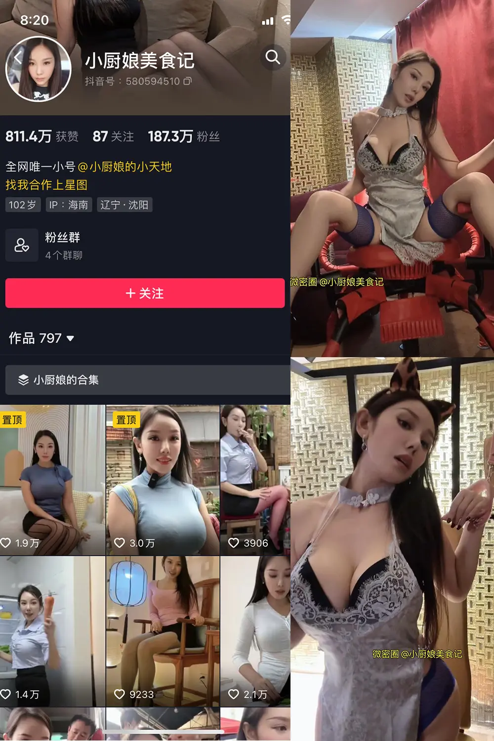 小厨娘美食记微密圈