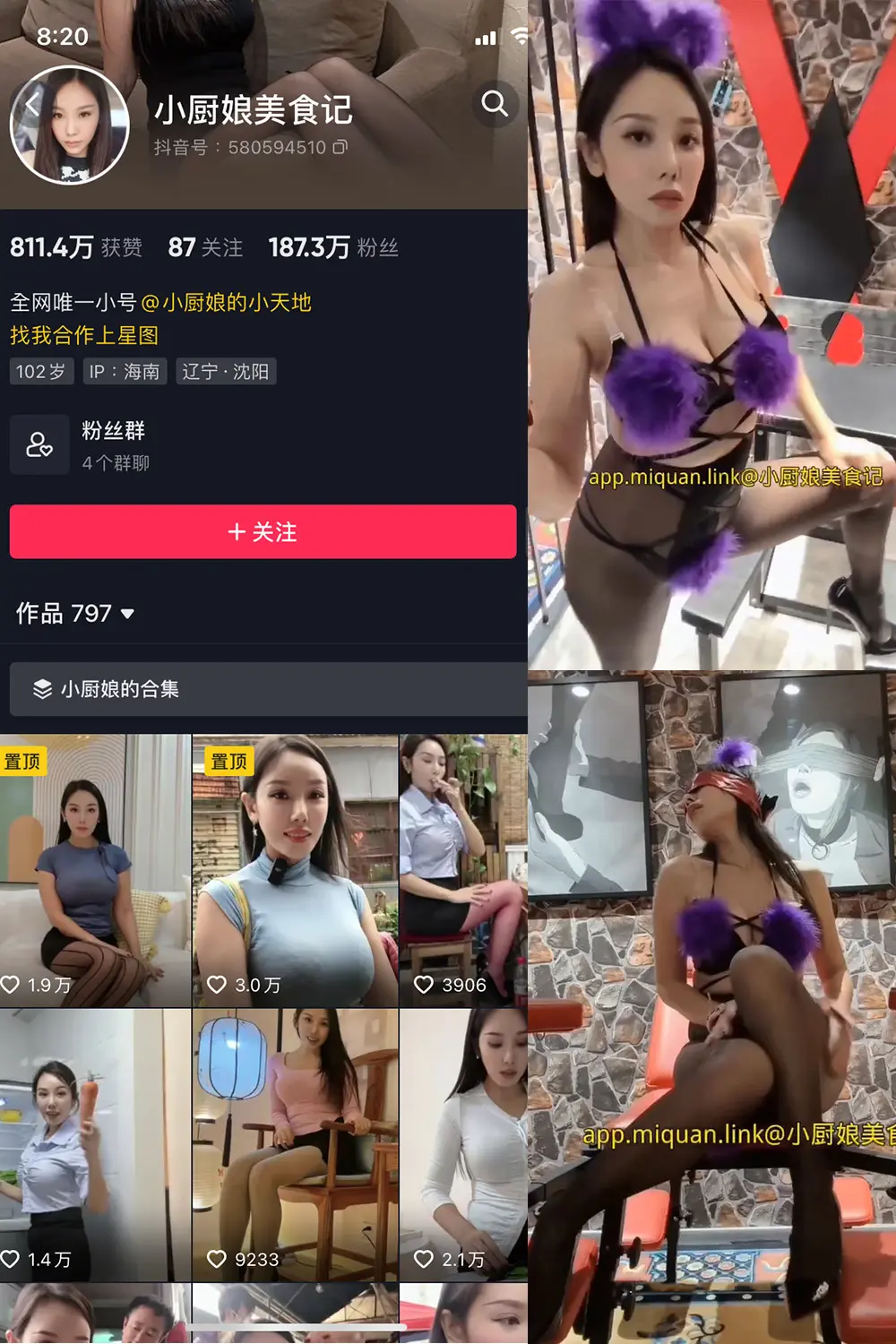 小厨娘美食记微密圈