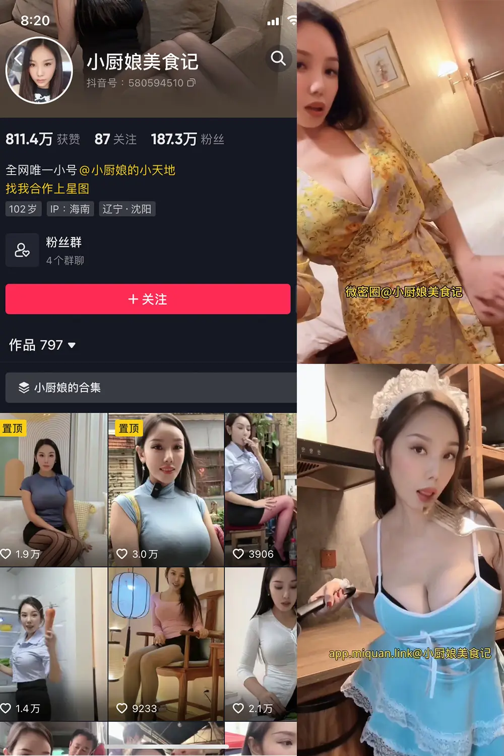 小厨娘美食记微密圈